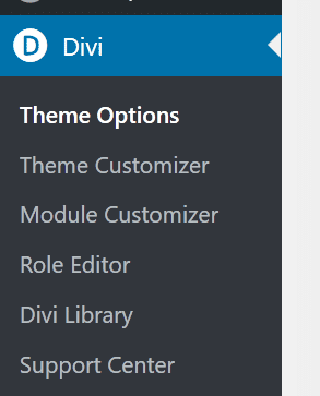 3 divi click theme customizer